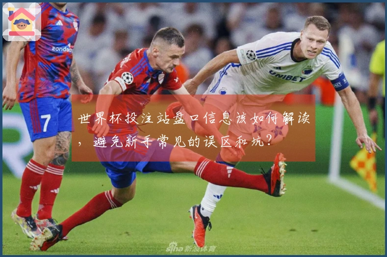 世界杯投注站盘口信息该如何解读，避免新手常见的误区和坑？
